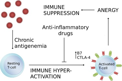 Improve ‍Your ⁣Health ‍by Reducing Chronic Inflammation